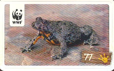 Rewe WWF Tier-Abenteuer 2011 - Nr. 77