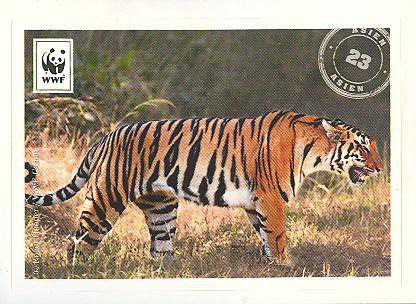Edeka WWF Reisetagebuch 2012 - Nr. 23