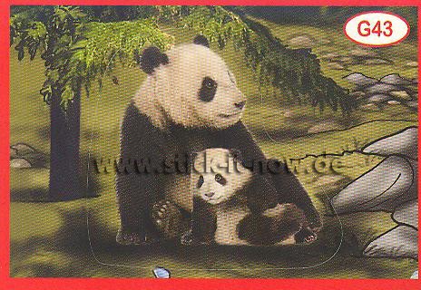 Amici Cucciolotti - Mission Tierfreunde (2015) - Nr. G43